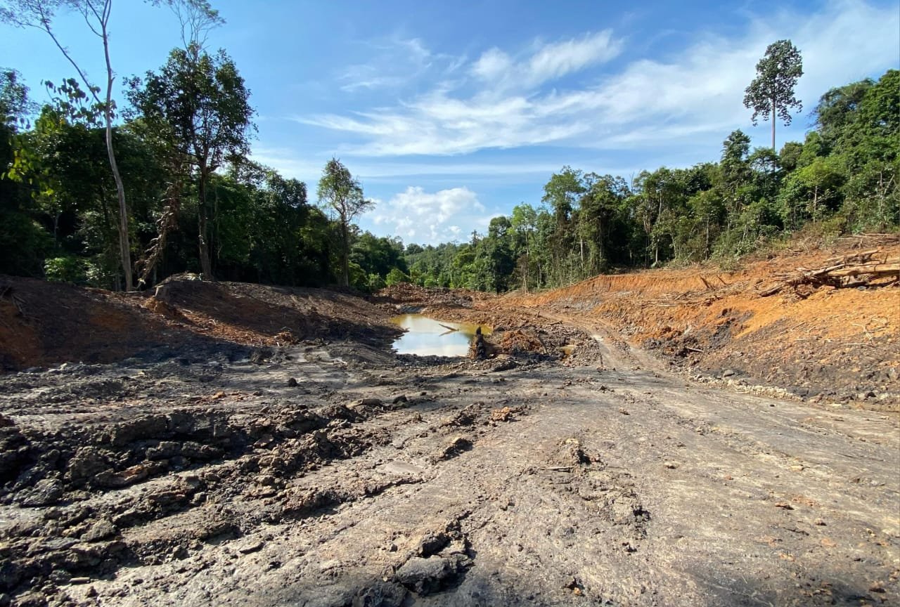 lokasi bekas galian tambang di hutan pendidikan unmul (ist)