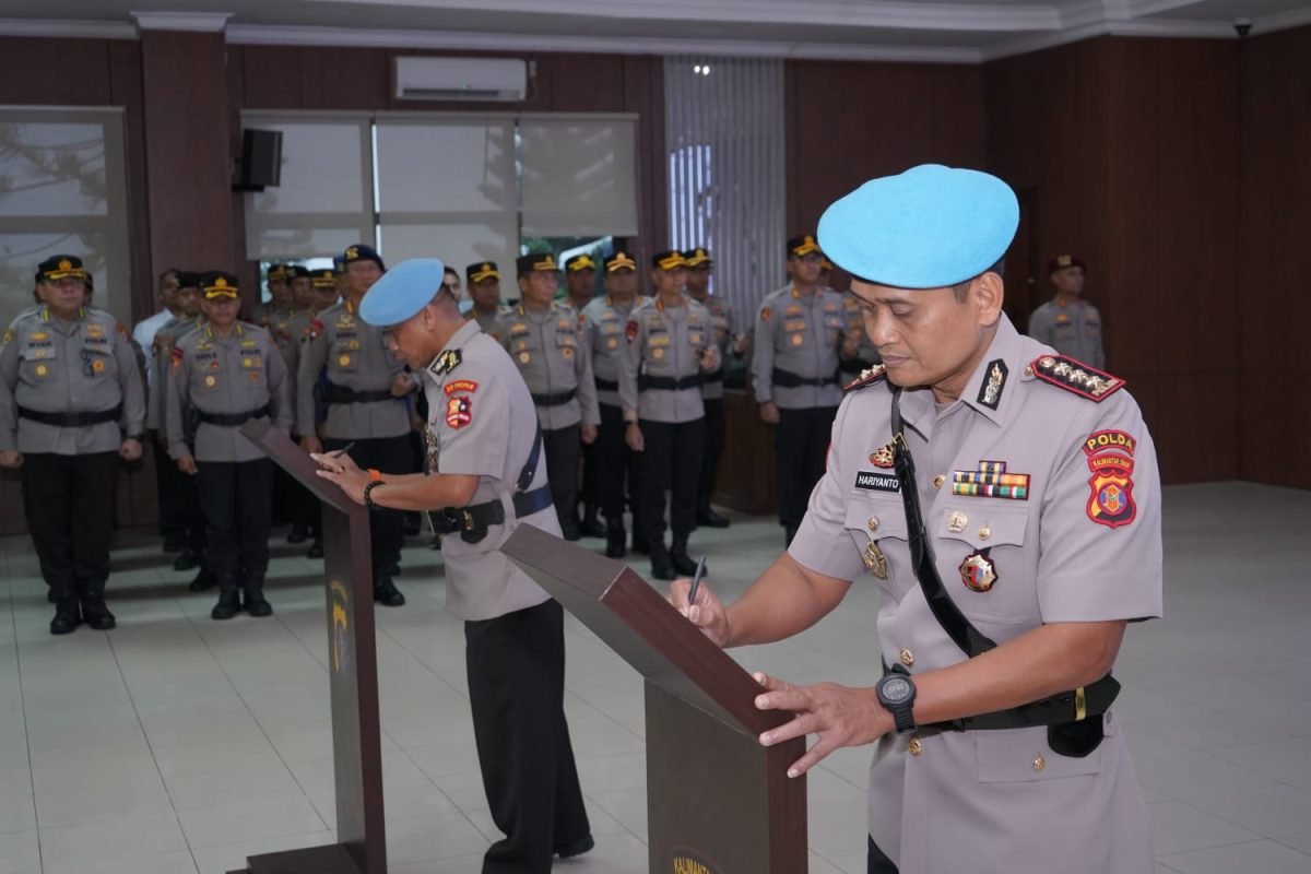 whatsapp image 2026 02 19 at 12.01.32 1200x800