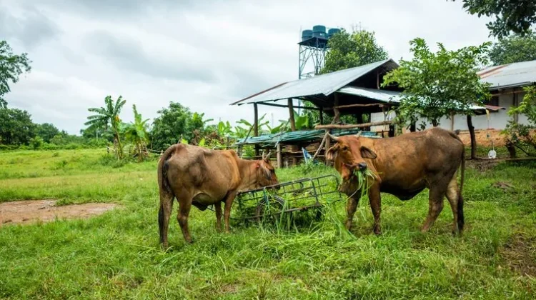 full 1774688564494993 c6c8bf6b63 berita samarinda