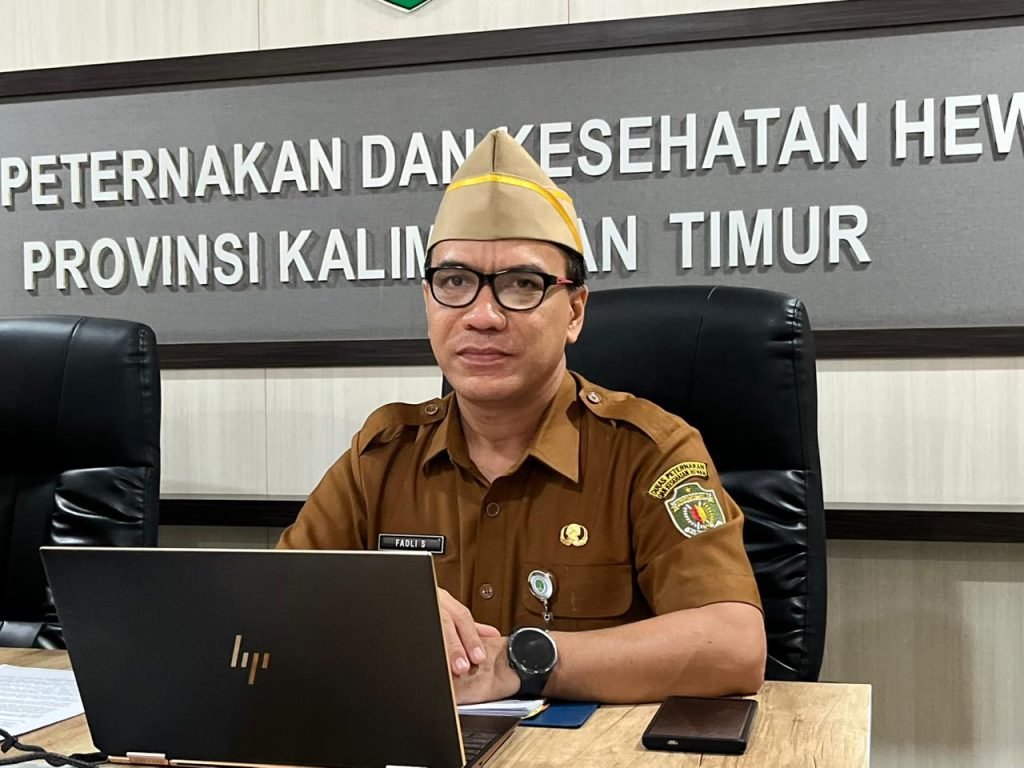 img 20260512 wa0007